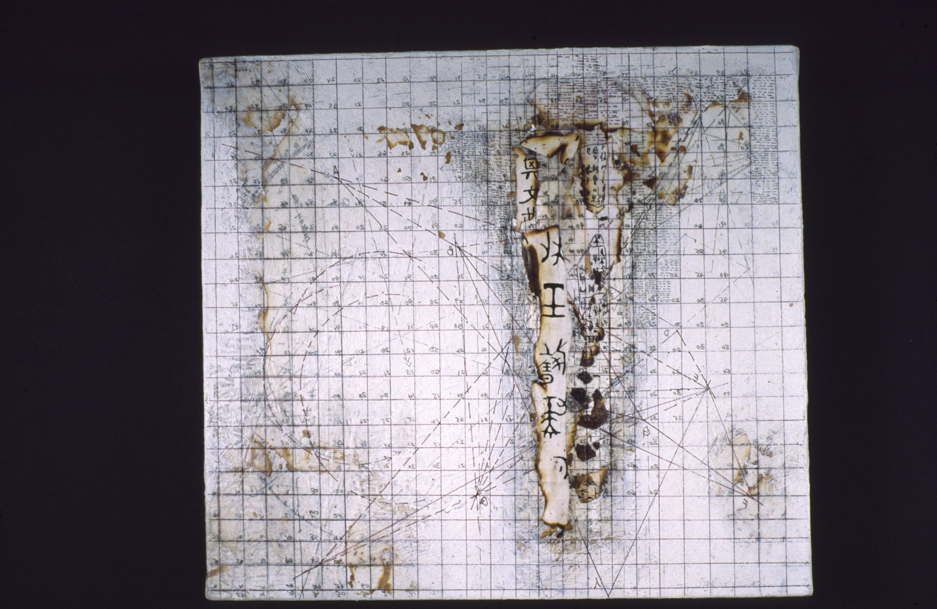 Mapping of the Human Heart, details 5